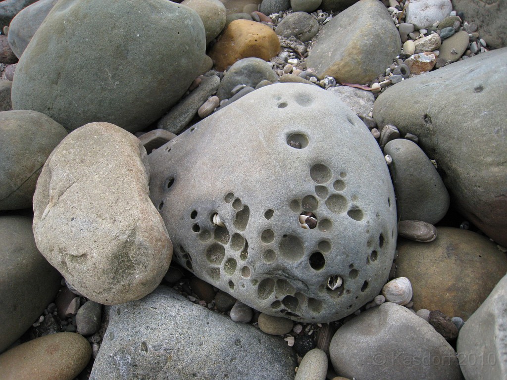 Carpinteria California 2010-02 0150.jpg - A trip to Carpinteria California. Surfing, food, beachs.